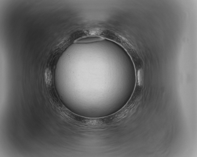 X0000116311443200912071259