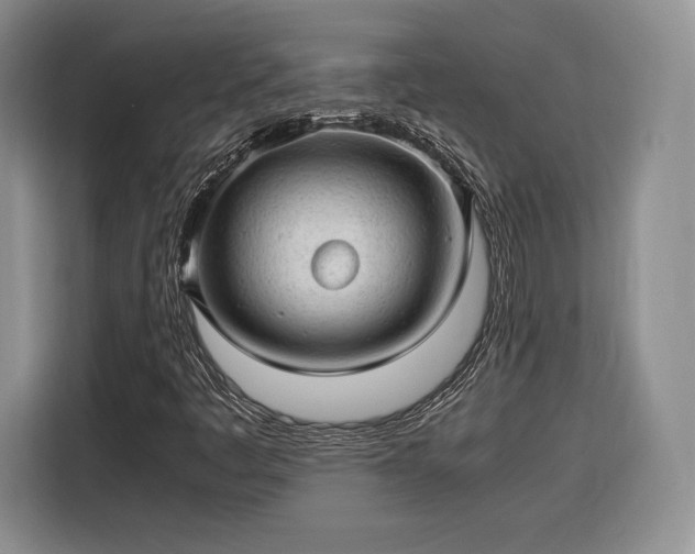 X0000116311445200912071259