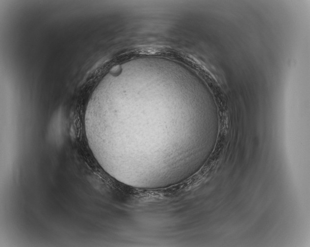 X0000116311446200912071259