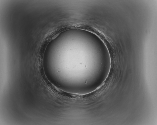 X0000116311447200912071259