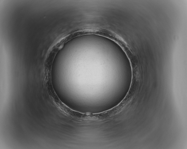 X0000116311448200912071259