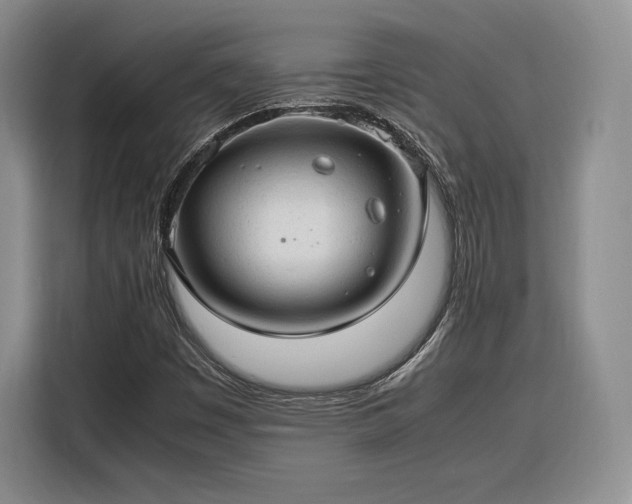 X0000116311449200912071259