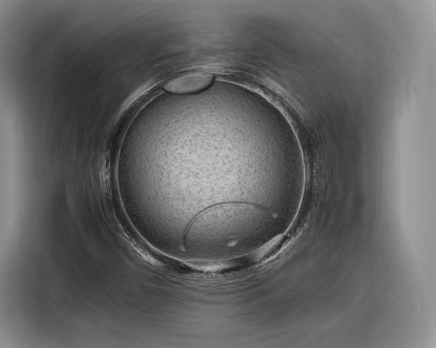 X0000116311450200912071259