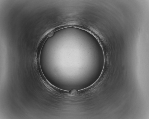 X0000116311452200912071259