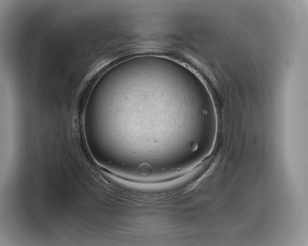 X0000116311453200912071259