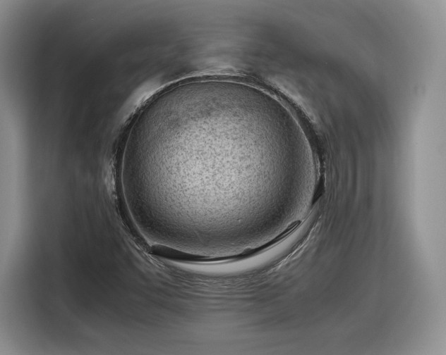 X0000116311455200912071259