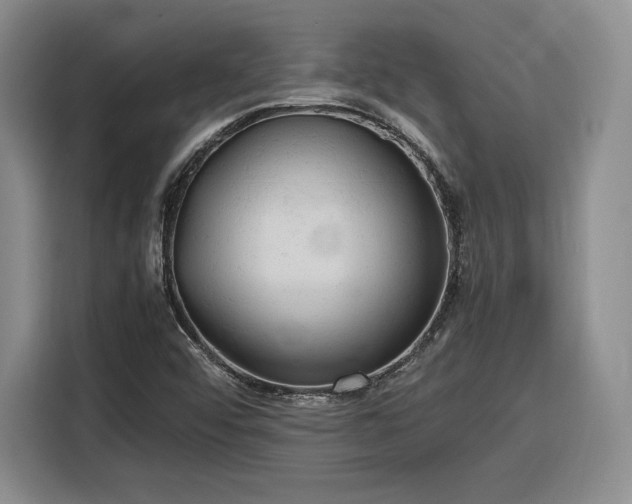 X0000116311456200912071259