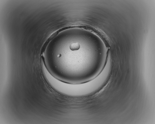 X0000116311457200912071259