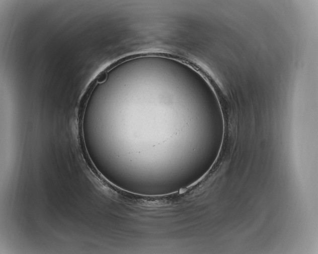 X0000116311460200912071259