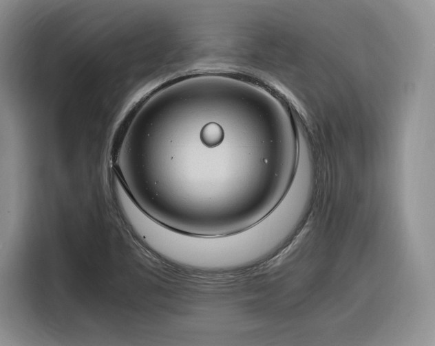 X0000116311461200912071259