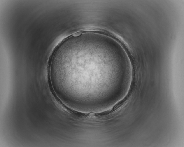 X0000116311463200912071259