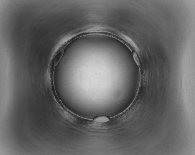 X0000116311464200912071259