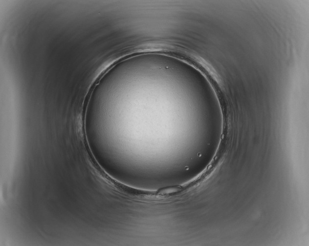 X0000116311465200912071259