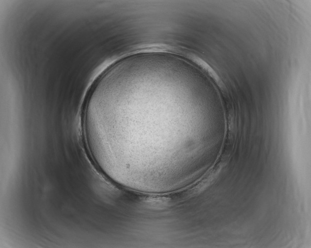 X0000116311466200912071259