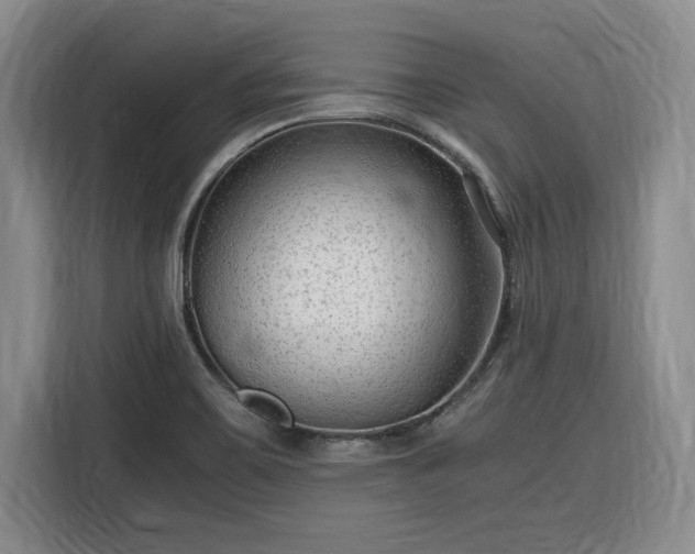 X0000116311467200912071259