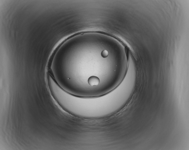 X0000116311468200912071259