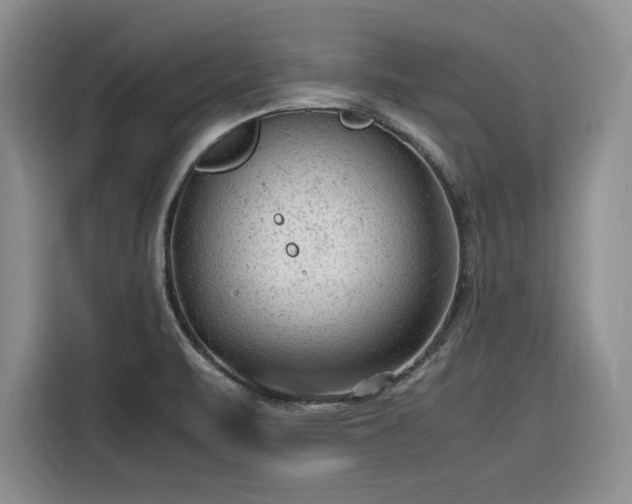 X0000116311471200912071259