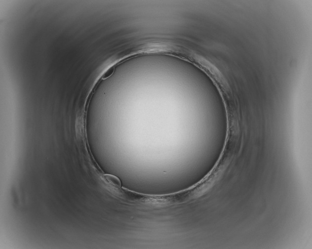 X0000116311473200912071258