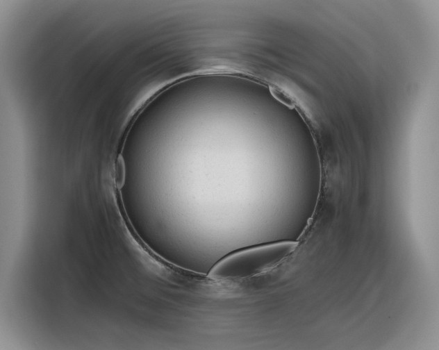 X0000116311476200912071258