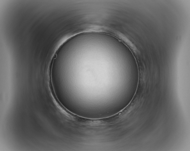 X0000116311479200912071258