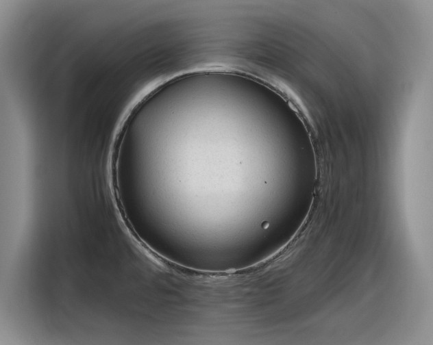 X0000116311480200912071258