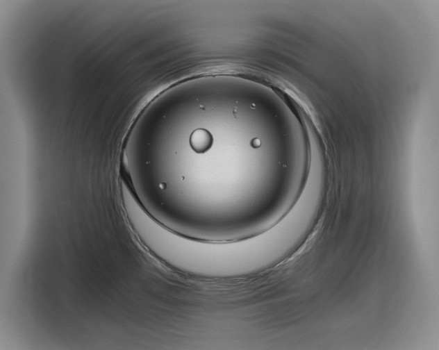 X0000116311481200912071258