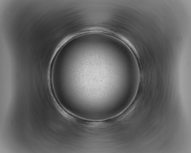 X0000116311482200912071258