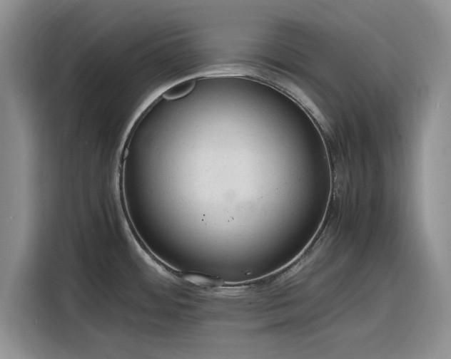 X0000116311484200912071258