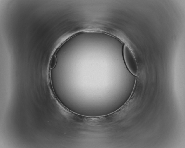 X0000116311485200912071258