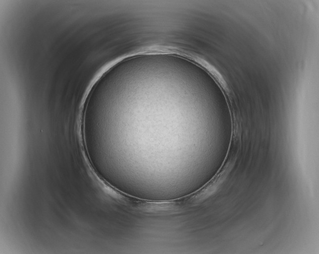 X0000116311486200912071258