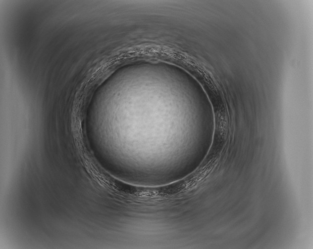 X0000116311489200912071258