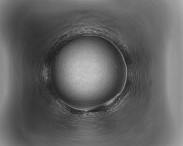 X0000116311490200912071258