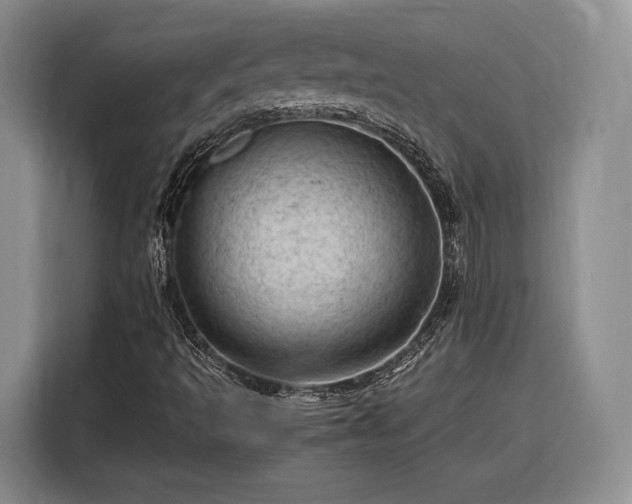 X0000116311493200912071258