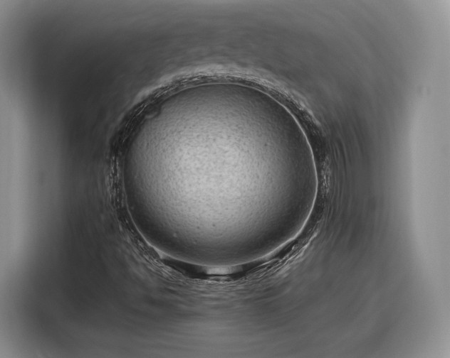 X0000116311494200912071258