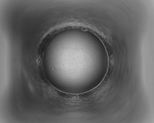 X0000116311495200912071258