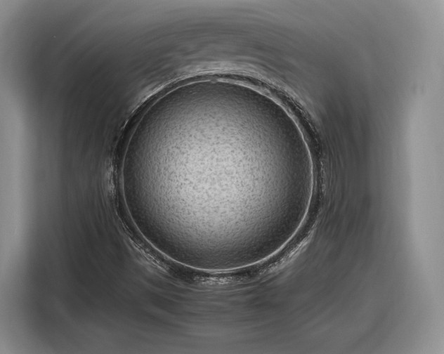 X0000116311497200912071258