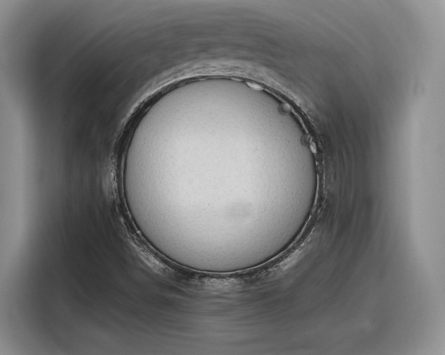 X0000116311498200912071258