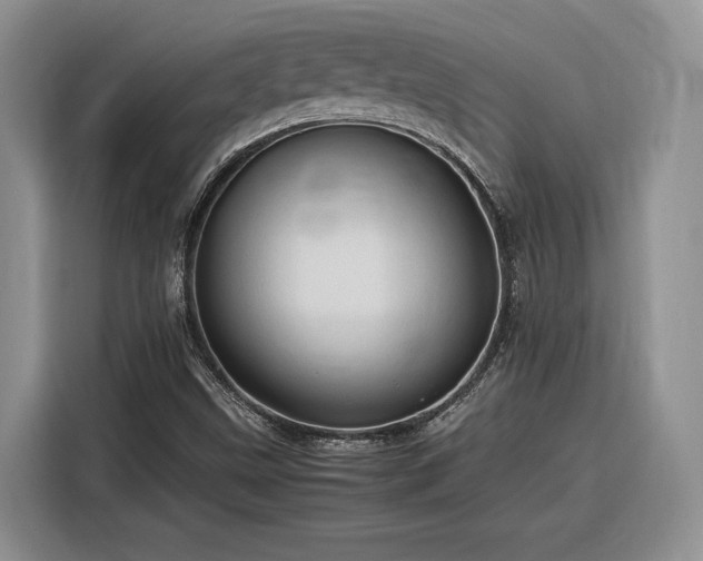 X0000116311499200912071258