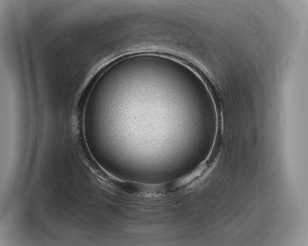 X0000116311501200912071258