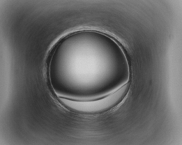 X0000116311502200912071258