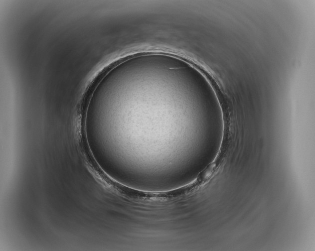 X0000116311503200912071258