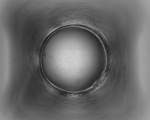 X0000116311505200912071258