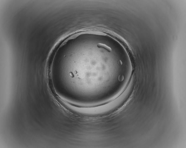 X0000116311506200912071258