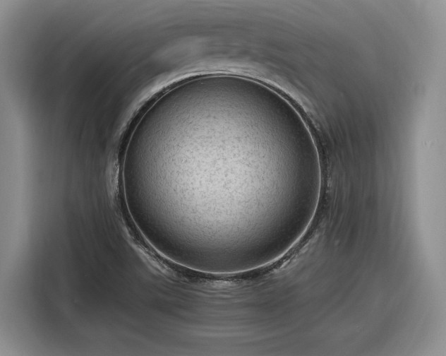 X0000116311507200912071258