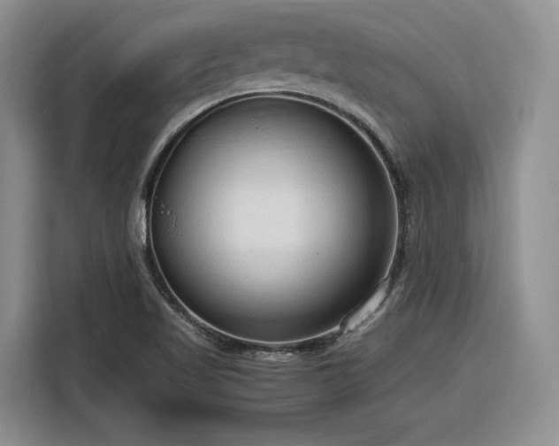 X0000116311509200912071258