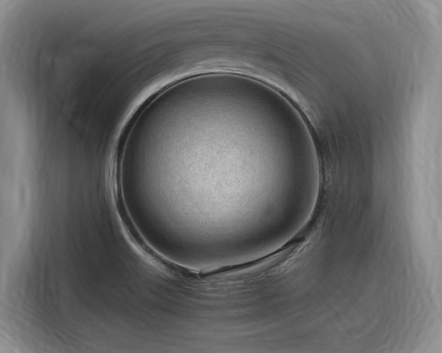 X0000116311515200912071258