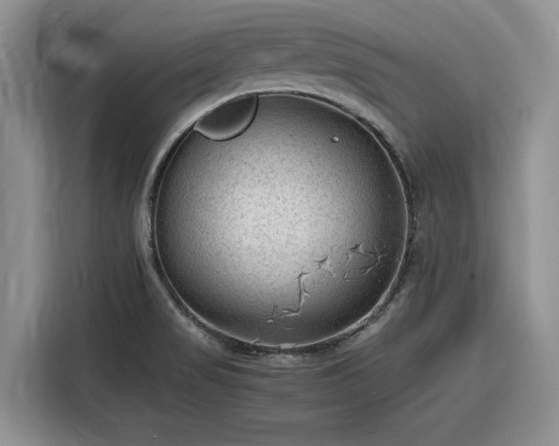 X0000116311517200912071258