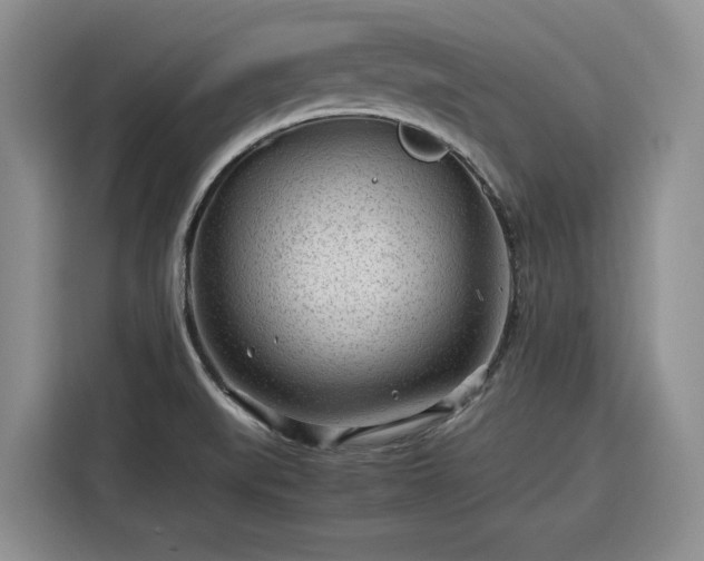 X0000116311519200912071258