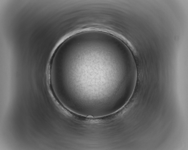 X0000116311522200912071258