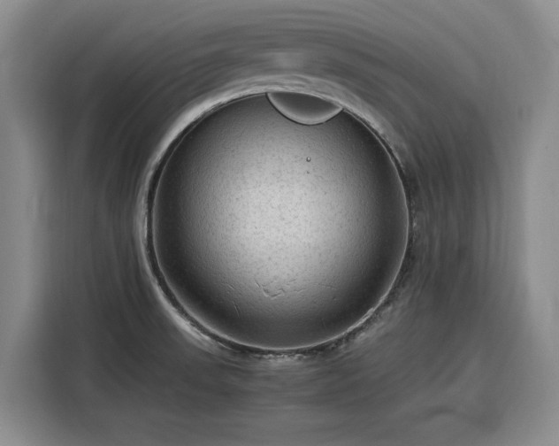 X0000116311523200912071258